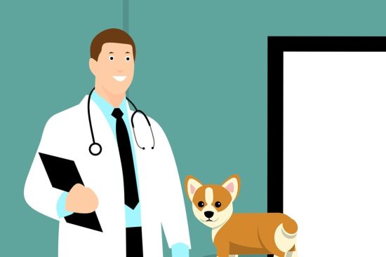 profesjonalna opieka weterynaryjna dla twojego pupila. nasza klinika weterynaryjna oferuje kompleksowe usługi zdrowotne, w tym badania, szczepienia oraz obszerną pomoc w nagłych wypadkach. zaufaj naszym doświadczonym weterynarzom, którzy zadbają o zdrowie i dobre samopoczucie twojego zwierzaka.