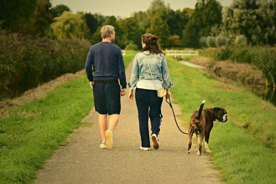 zadbaj o bezpieczeństwo podczas spacerów z psem. sprawdź nasze porady dotyczące wyboru odpowiednich tras, używania smyczy oraz zachowania ostrożności w towarzystwie innych zwierząt i ludzi.