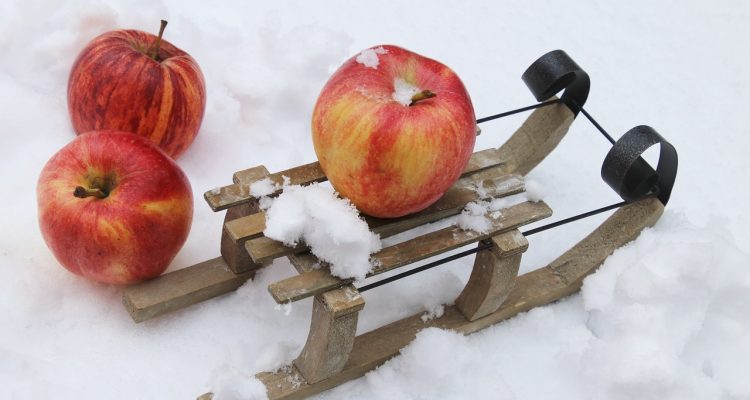 odkryj skuteczne metody zapobiegania chorobom zwierząt, aby zapewnić zdrowie i dobrostan twoich pupili. dowiedz się o najnowszych badaniach i praktycznych wskazówkach dotyczących profilaktyki w weterynarii.