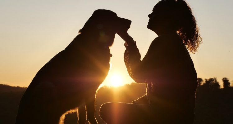 przeprowadzka z pupilem może być wyzwaniem, ale z odpowiednim planowaniem i przygotowaniem można ją uczynić bezstresową. dowiedz się, jak zadbać o komfort swojego zwierzaka podczas przeprowadzki, jakie dokumenty są potrzebne i jak przygotować go na nowy dom.