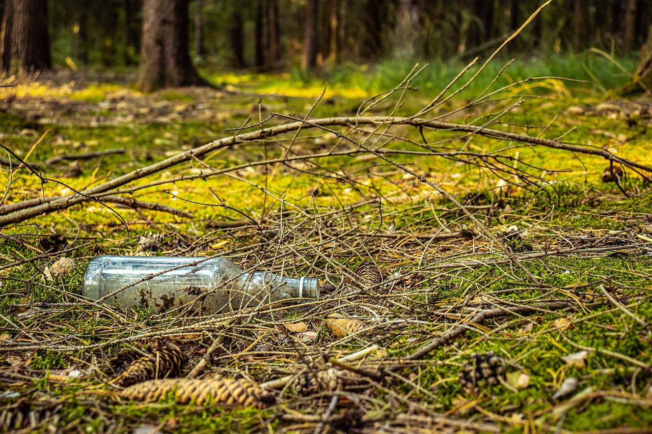 odkryj świat litter, gdzie estetyka spotyka funkcjonalność! nasze produkty zapewniają wyjątkowe rozwiązania dla twojej przestrzeni, łącząc styl i wygodę, aby stworzyć idealne otoczenie.