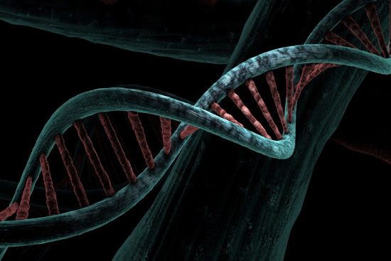 zaburzenia genetyczne to schorzenia spowodowane nieprawidłowościami w dna. dowiedz się więcej o ich przyczynach, objawach i możliwościach leczenia, aby lepiej zrozumieć wpływ genetyki na zdrowie.