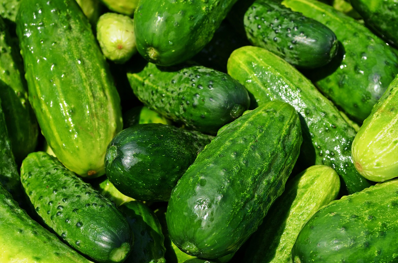 dieta eliminacyjna to skuteczna metoda identyfikacji nietolerancji pokarmowych oraz alergii. dowiedz się, jak ją bezpiecznie stosować, jakie produkty wykluczyć i jak wprowadzać je ponownie do codziennego jadłospisu.